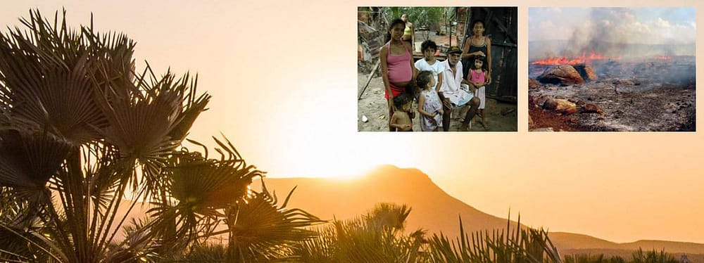 Caatinga-Association Case Study Caatinga Association
