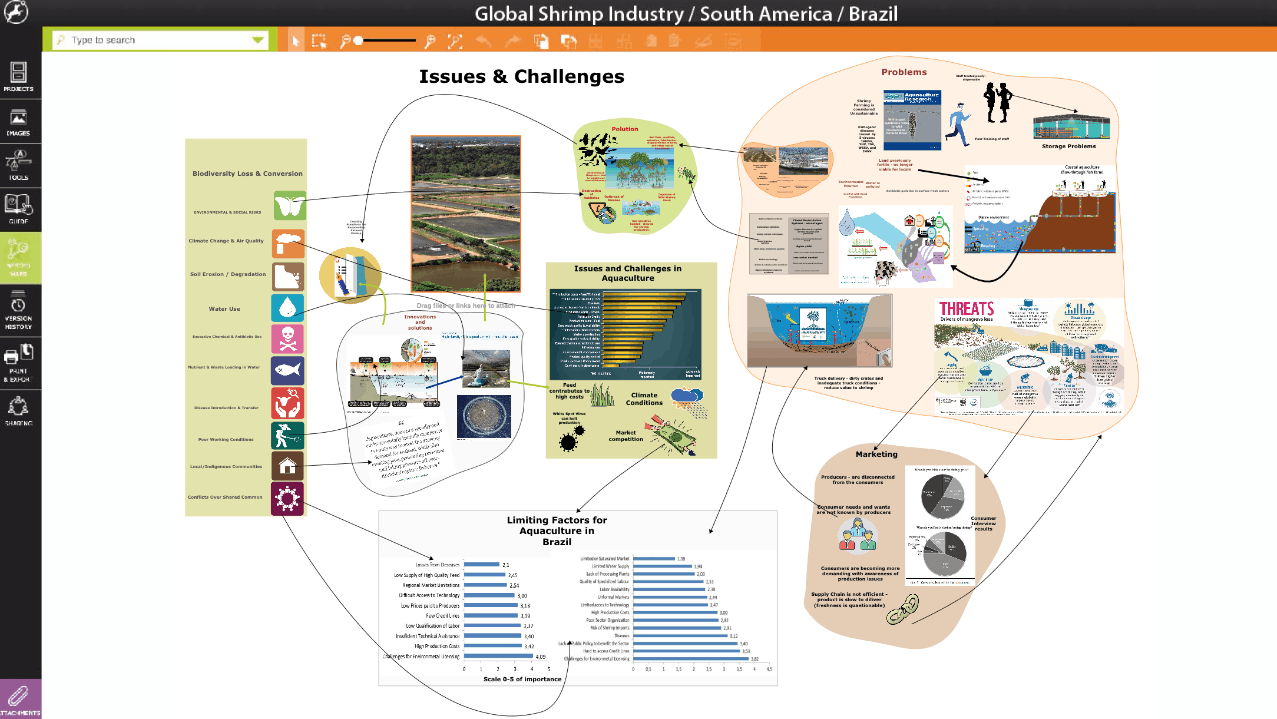 Issues and Challenges Issues and Challenges
