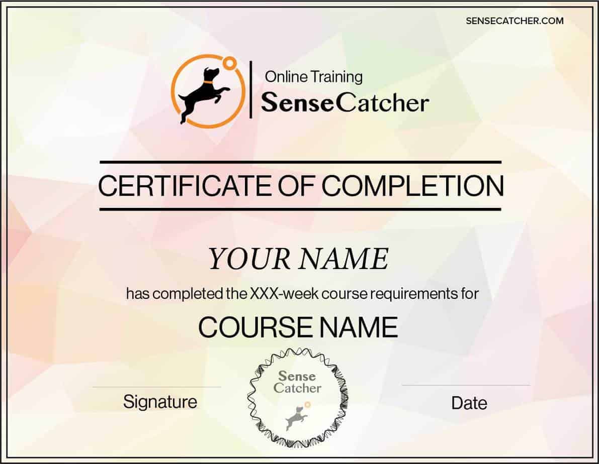 SesneCatcher Course Certificate Diploma